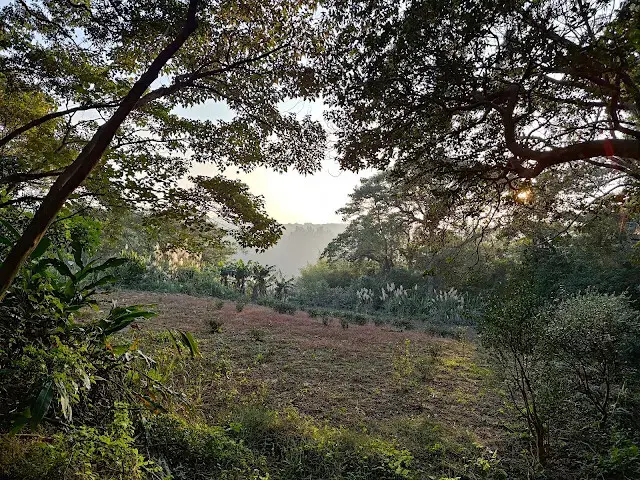 東森山林步道 - 夕陽