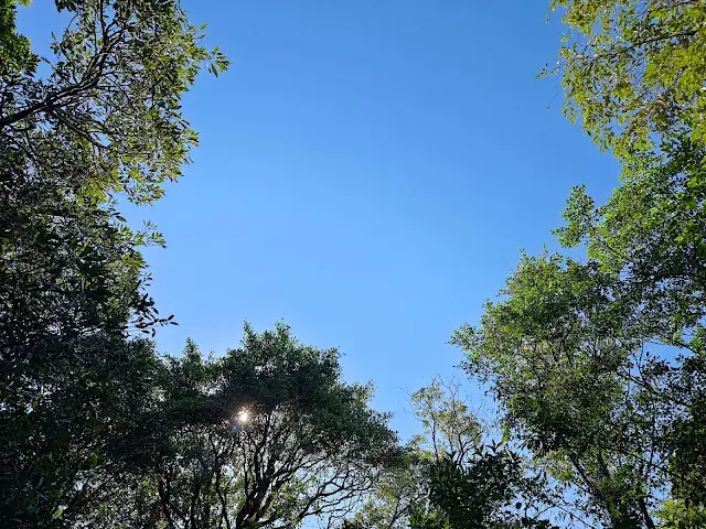 拱北殿 - 後山步道