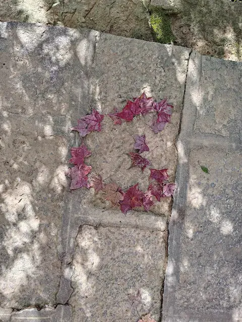 拱北殿 - 後山步道 - 楓葉 - 青楓亭