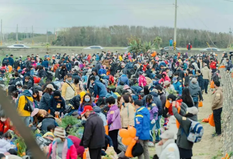 雲林東勢的萬人盛會!2025「國際台灣胡蘿蔔日」親子同樂拔蔔、逛市集 (4)