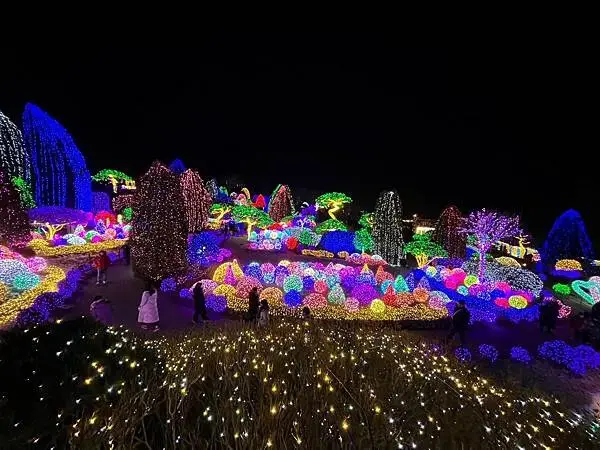 LINE_ALBUM_20241231江原道Day03_250117_85