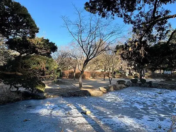 LINE_ALBUM_20241231江原道Day03_250117_171