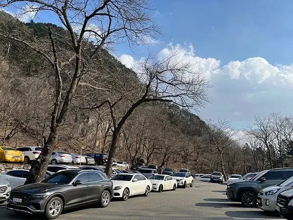 LINE_ALBUM_20241230江原道Day02_250117_153