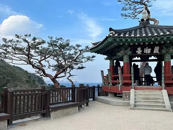 LINE_ALBUM_20241230江原道Day02_250117_56