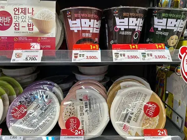 LINE_ALBUM_20241230江原道Day02_250117_303