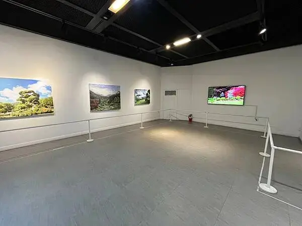 LINE_ALBUM_20241231江原道Day03_250117_148