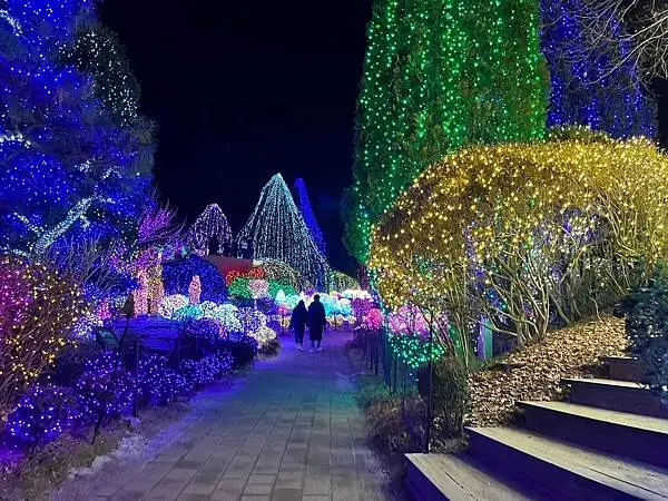 LINE_ALBUM_20241231江原道Day03_250117_94