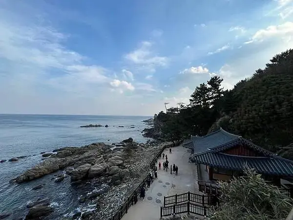 LINE_ALBUM_20241230江原道Day02_250117_44