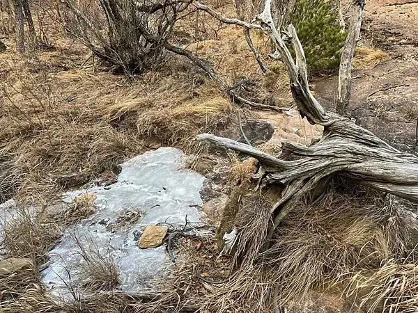 LINE_ALBUM_20241230江原道Day02_250117_213