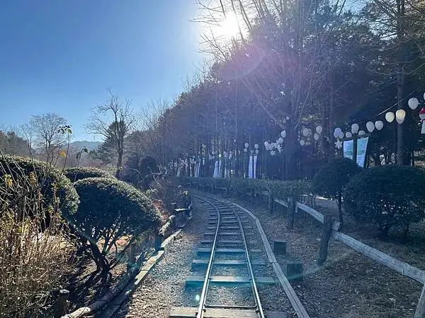 LINE_ALBUM_20241231江原道Day03_250117_198