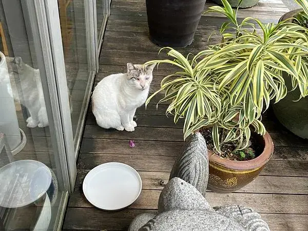 LINE_ALBUM_20241208沖繩DAY04_241210_91