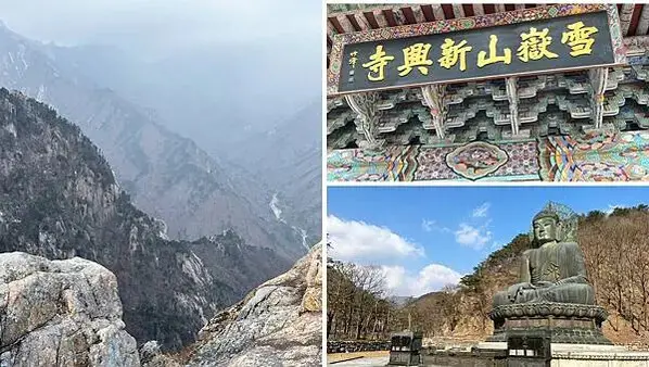 LINE_ALBUM_20241230江原道Day02_250117_344