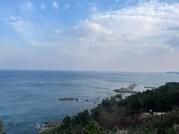 LINE_ALBUM_20241230江原道Day02_250117_13