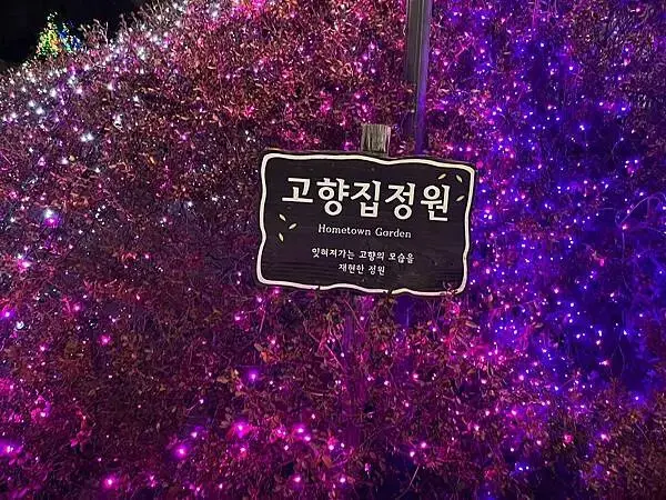 LINE_ALBUM_20241231江原道Day03_250117_36