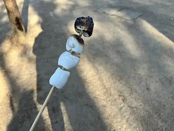 LINE_ALBUM_20241231江原道Day03_250117_182