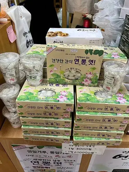 LINE_ALBUM_20241230江原道Day02_250117_163