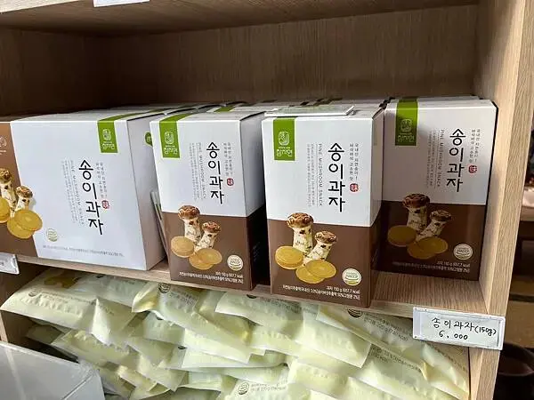 LINE_ALBUM_20241230江原道Day02_250117_165