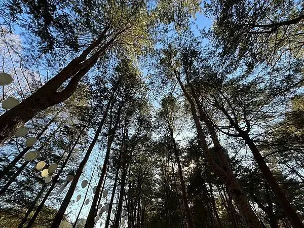 LINE_ALBUM_20241231江原道Day03_250117_202