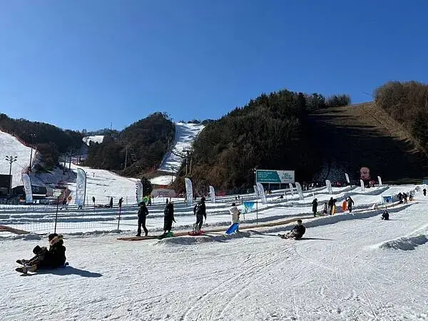 LINE_ALBUM_20241231江原道Day03_250117_262