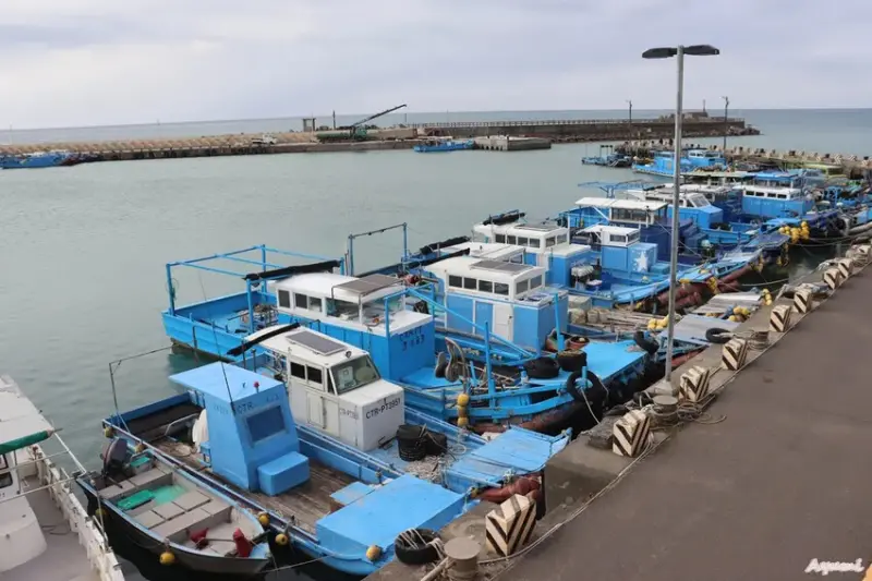[屏東過年系列]快樂出遊過年一日遊特輯!!!!!白天可到看海