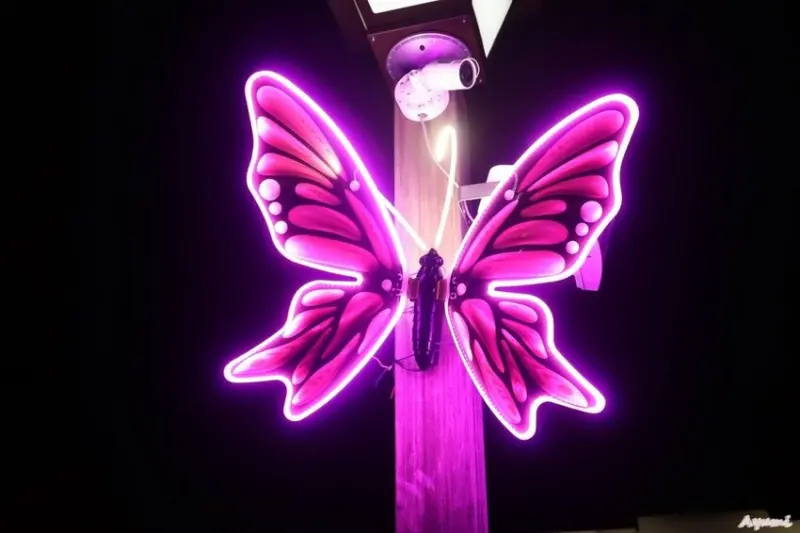 [屏東過年系列]快樂出遊過年一日遊特輯!!!!!白天可到看海