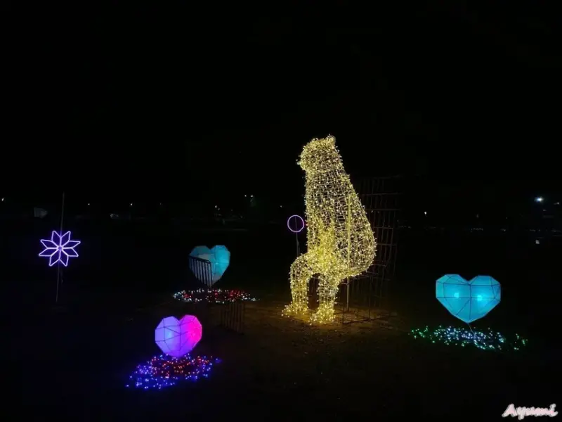 [高雄過年系列]2025高雄鳳山光之季就在大東公園/充滿可愛