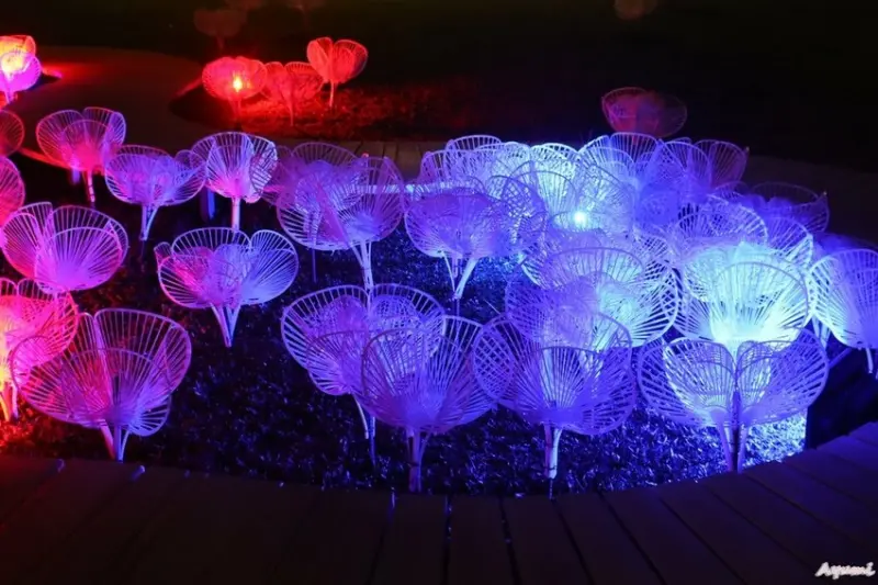 [屏東過年系列]快樂出遊過年一日遊特輯!!!!!白天可到看海