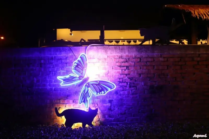 [屏東過年系列]快樂出遊過年一日遊特輯!!!!!白天可到看海