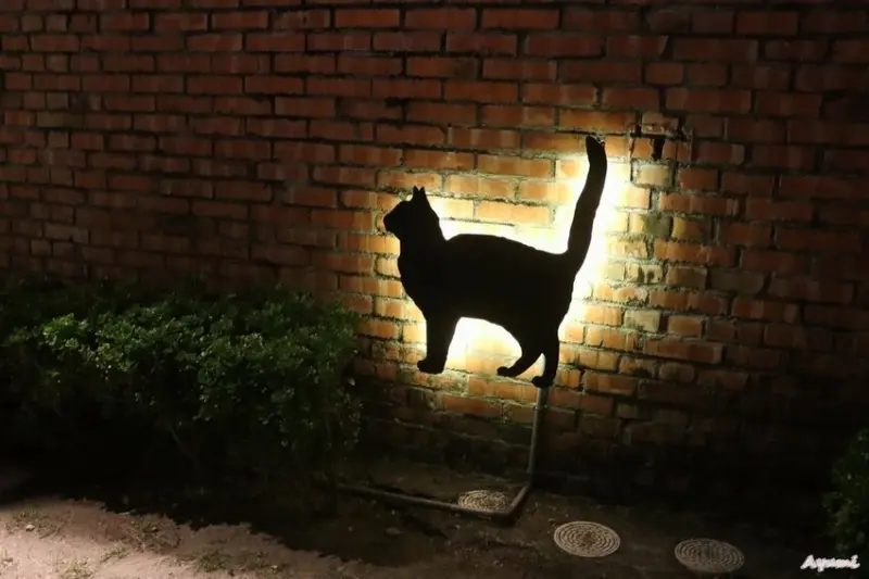 [屏東過年系列]快樂出遊過年一日遊特輯!!!!!白天可到看海