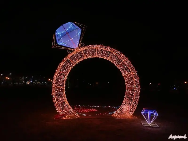 [高雄過年系列]2025高雄鳳山光之季就在大東公園/充滿可愛