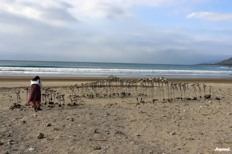 [屏東過年系列]快樂出遊過年一日遊特輯!!!!!白天可到看海