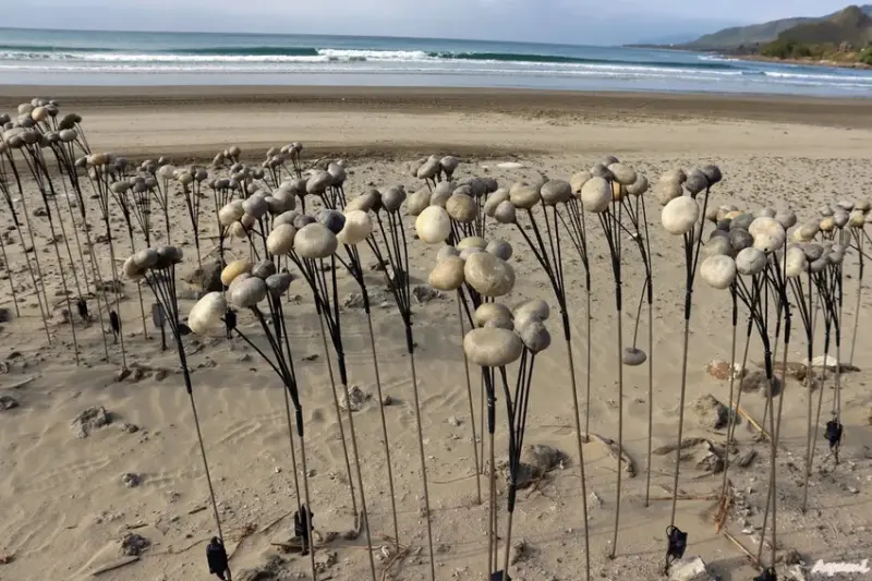 [屏東過年系列]快樂出遊過年一日遊特輯!!!!!白天可到看海