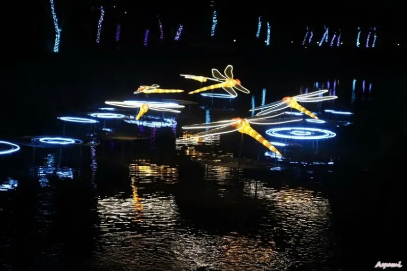 [屏東過年系列]快樂出遊過年一日遊特輯!!!!!白天可到看海