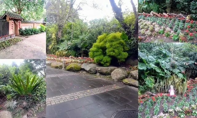 2024.12.13 造訪苗栗縣南庄雲水溫泉度假莊園落羽松湖秘境莊園(Bald Cypress lake landscape at Cloud-Water Resort Villa),   , Miaoli county, North Taiwan, photos by SJKen , Dec 13, 2024.