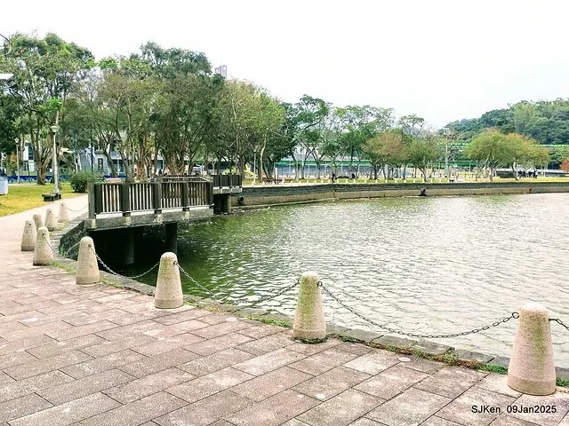 台北大湖公園與碧湖公園水鳥(Waterbirds at the Big lake park & Green lake park) , Taipei, Taiwan, SJKen , 09 Jan 2025.