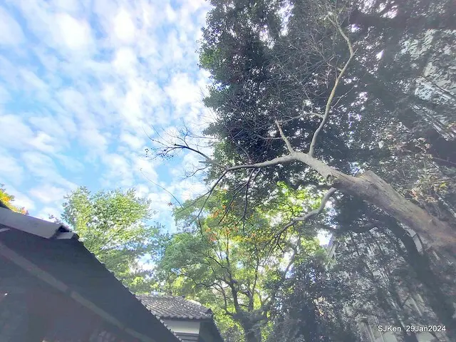 台北市長官邸藝文沙龍(Art and exhibtion restaurant transferred from the old Taipei Mayer house ), Jan 29, 2024, SJKen , Taipei, Taiwan.