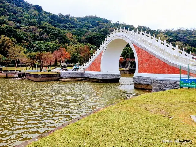 台北大湖公園與碧湖公園水鳥(Waterbirds at the Big lake park & Green lake park) , Taipei, Taiwan, SJKen , 09 Jan 2025.