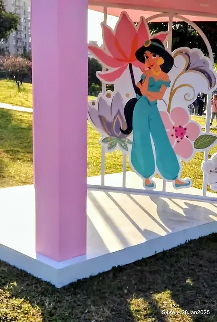 2025內湖樂活公園夜櫻季(Cherry Blossoms exhibition at Naihu park, Taipei, Taiwan,  by SJKen, Jan 28, 2025)