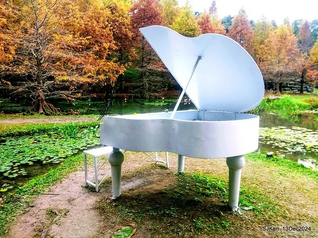 2024.12.13 造訪苗栗縣南庄雲水溫泉度假莊園落羽松湖秘境莊園(Bald Cypress lake landscape at Cloud-Water Resort Villa),   , Miaoli county, North Taiwan, photos by SJKen , Dec 13, 2024.