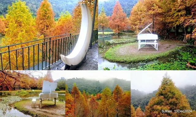 2024.12.13 造訪苗栗縣南庄雲水溫泉度假莊園落羽松湖秘境莊園(Bald Cypress lake landscape at Cloud-Water Resort Villa),   , Miaoli county, North Taiwan, photos by SJKen , Dec 13, 2024.