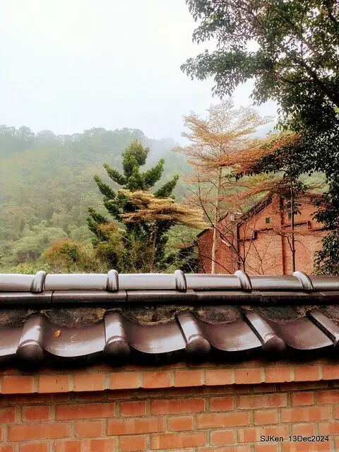 2024.12.13 造訪苗栗縣南庄雲水溫泉度假莊園落羽松湖秘境莊園(Bald Cypress lake landscape at Cloud-Water Resort Villa),   , Miaoli county, North Taiwan, photos by SJKen , Dec 13, 2024.