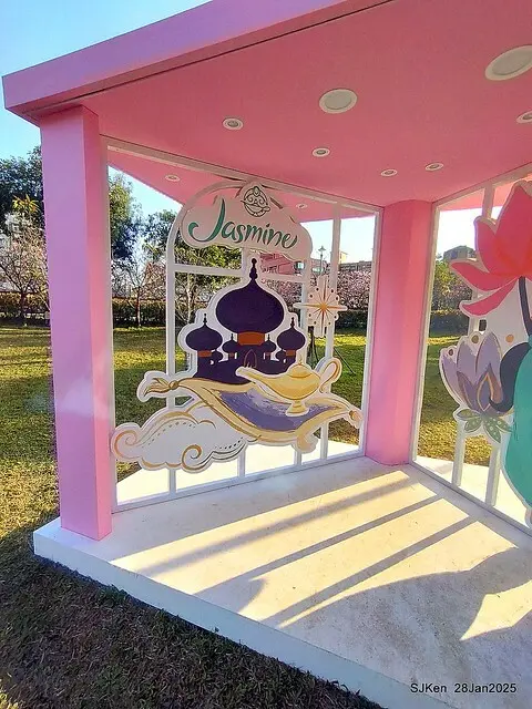 2025內湖樂活公園夜櫻季(Cherry Blossoms exhibition at Naihu park, Taipei, Taiwan,  by SJKen, Jan 28, 2025)