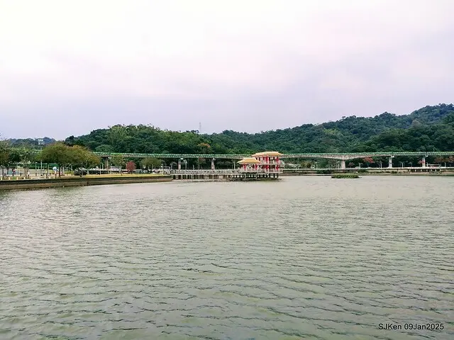 台北大湖公園落羽松(Bald Cypress at Big Lake park, Taipei, Taiwan, Jan 9, 2025, by SJKen)