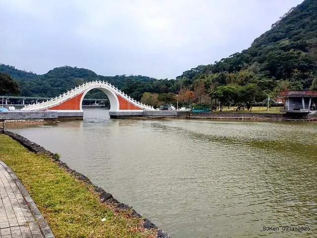 台北大湖公園與碧湖公園水鳥(Waterbirds at the Big lake park & Green lake park) , Taipei, Taiwan, SJKen , 09 Jan 2025.