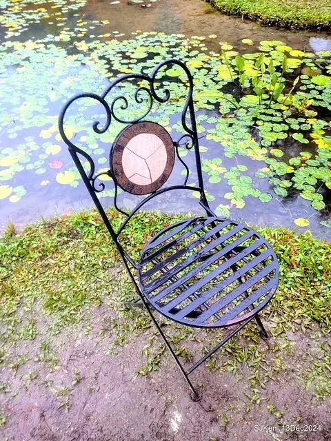 2024.12.13 造訪苗栗縣南庄雲水溫泉度假莊園落羽松湖秘境莊園(Bald Cypress lake landscape at Cloud-Water Resort Villa),   , Miaoli county, North Taiwan, photos by SJKen , Dec 13, 2024.