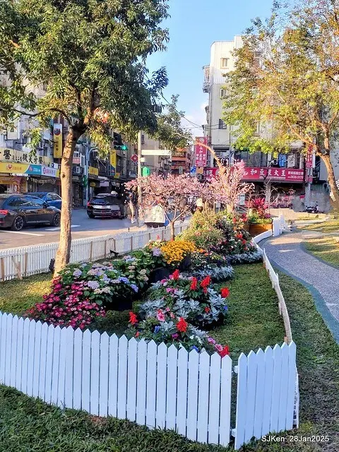 2025內湖樂活公園夜櫻季(Cherry Blossoms exhibition at Naihu park, Taipei, Taiwan,  by SJKen, Jan 28, 2025)