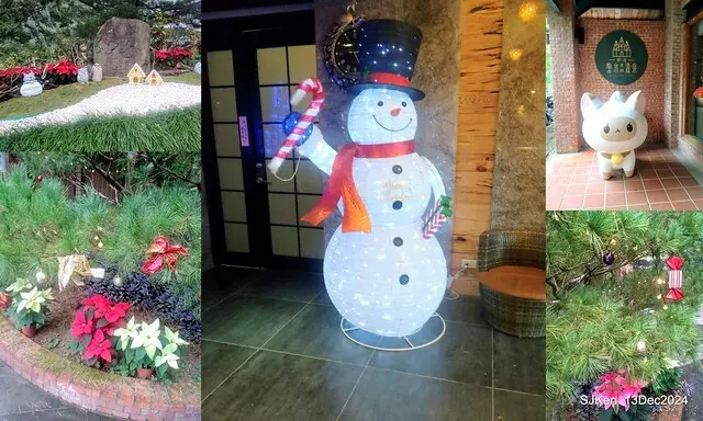 2024.12.13 造訪苗栗縣南庄雲水溫泉度假莊園落羽松湖秘境莊園(Bald Cypress lake landscape at Cloud-Water Resort Villa),   , Miaoli county, North Taiwan, photos by SJKen , Dec 13, 2024.