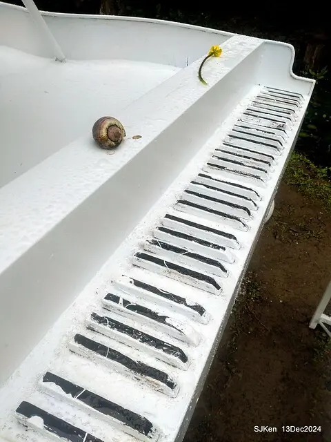 2024.12.13 造訪苗栗縣南庄雲水溫泉度假莊園落羽松湖秘境莊園(Bald Cypress lake landscape at Cloud-Water Resort Villa),   , Miaoli county, North Taiwan, photos by SJKen , Dec 13, 2024.