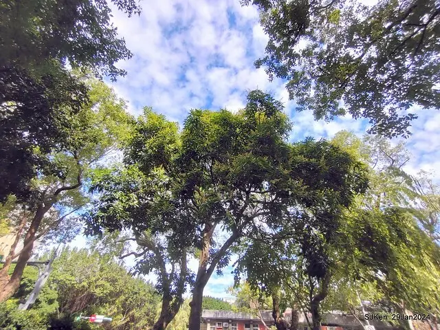 台北市長官邸藝文沙龍(Art and exhibtion restaurant transferred from the old Taipei Mayer house ), Jan 29, 2024, SJKen , Taipei, Taiwan.