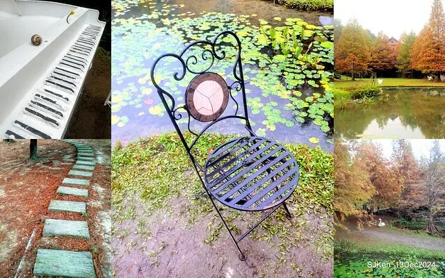 2024.12.13 造訪苗栗縣南庄雲水溫泉度假莊園落羽松湖秘境莊園(Bald Cypress lake landscape at Cloud-Water Resort Villa),   , Miaoli county, North Taiwan, photos by SJKen , Dec 13, 2024.